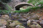 Rivière dans la montagne ardéchoise